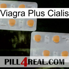 Viagra Plus Cialis 25